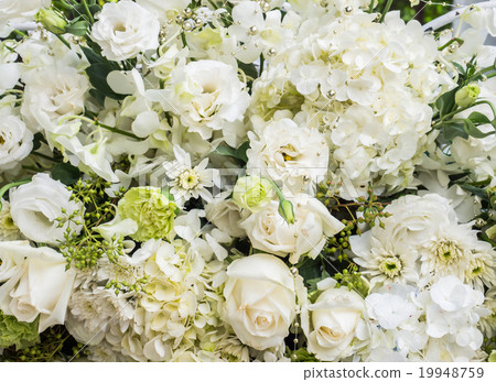 Bouquet of white roses 19948759