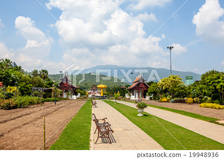 landscape of Chang Mai landscape of Chang Mai 19948936