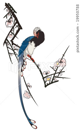 和泉廣島的白色廣島白梅圖像 和泉廣島的白色廣島白梅圖像 19950788