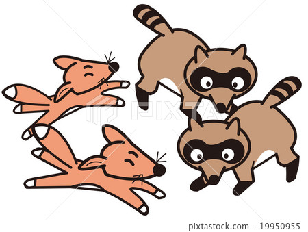 浣熊和狐狸 19950955