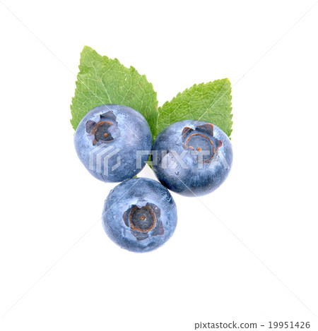 Ripe blueberries and leaves on white background 19951426