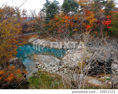 Seiryuki Autumn leaves 19951523