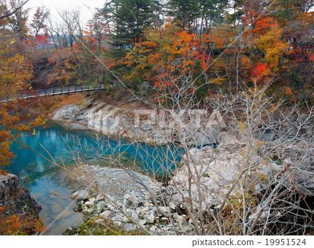 Seiryuki Autumn leaves 19951524