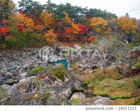 Seiryuki Autumn leaves 19951525