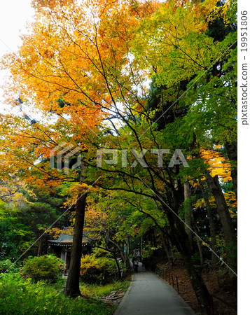 Hiraizumi Chusonji秋葉，世界遺產名錄站點 19951806