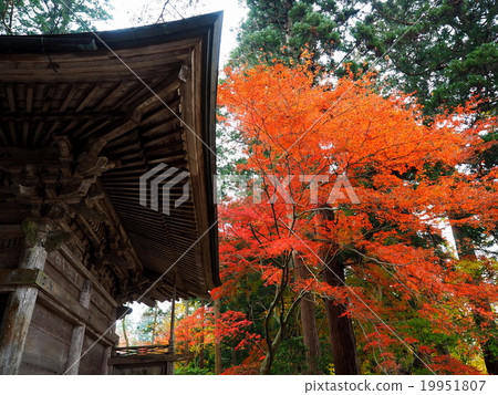 Hiraizumi Chusonji秋葉,世界遺產名錄站點 Hiraizumi Chusonji秋葉,世界遺產名錄站點 19951807
