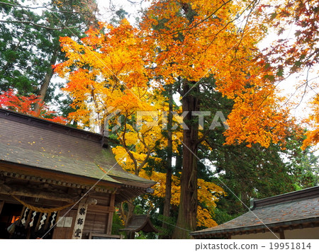 Hiraizumi Chusonji秋葉，世界遺產名錄站點 19951814