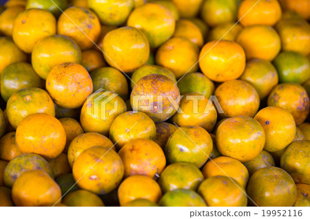 fresh orange fruit background fresh orange fruit background 19952116
