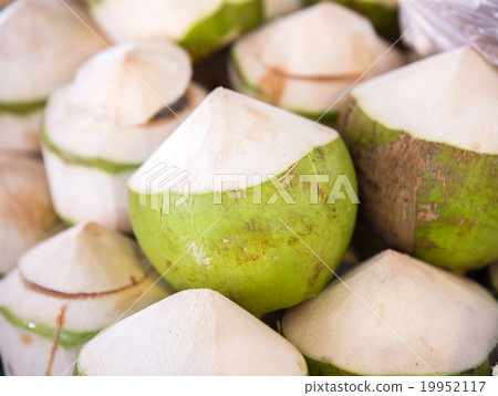Fresh coconuts in the market Fresh coconuts in the market 19952117