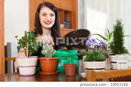 Smiling woman working with flowers in pots Smiling woman working with flowers in pots 19953288