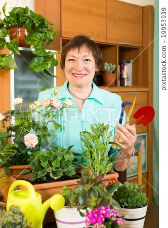 Smiling woman working with fresh flowers in pots 19953939