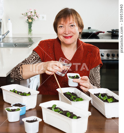 Happy gardener watering sprouts 19953940
