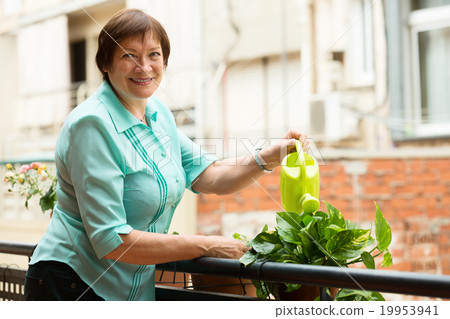 Portrait of aged woman watering plants Portrait of aged woman watering plants 19953941