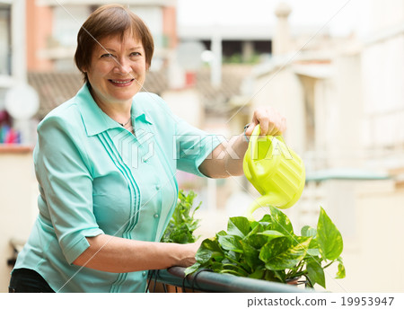 Portrait of aged woman watering domestic plants Portrait of aged woman watering domestic plants 19953947