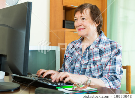 Elderly woman working with computer 19953948