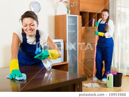 cleaners cleaning in room 19953988