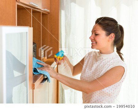 Woman cleaning furniture at home. Woman cleaning furniture at home. 19954010