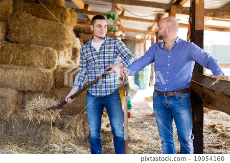 Two farm workers in hayloft Two farm workers in hayloft 19954160