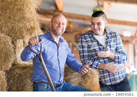Two farmers working in barn 19954161