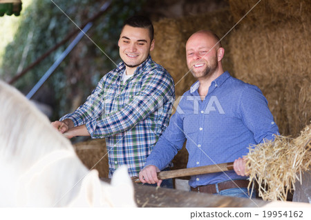 Males giving hat to horse 19954162