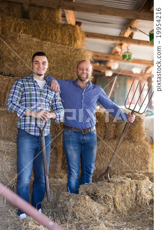 Two farmers working in barn. 19954216