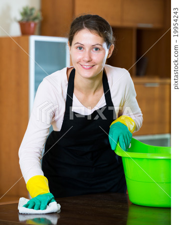 maid in apron dusting and wiping maid in apron dusting and wiping 19954243
