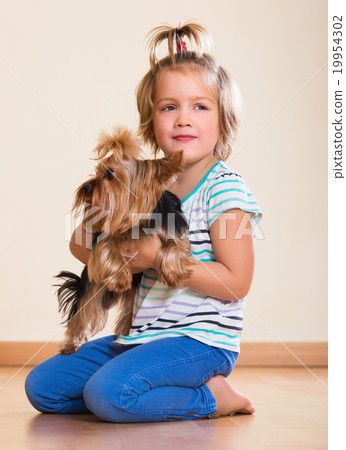Little girl holding Yorkshire Terrier 19954302