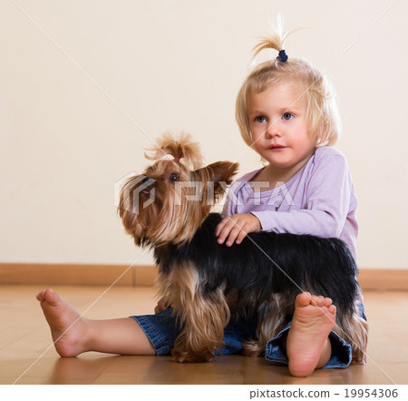 Positive child holding Yorkshire Terrier 19954306