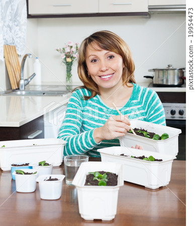 Happy woman working with sprouts 19954473