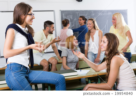 students chatting and smiling at the college students chatting and smiling at the college 19954840