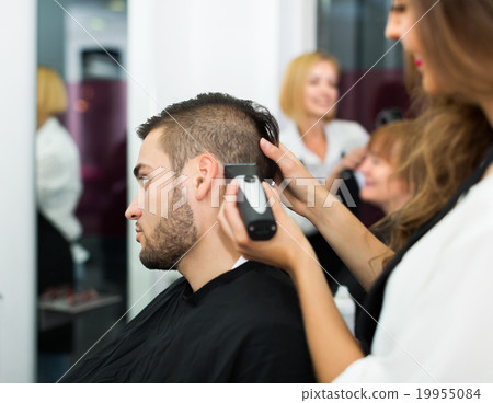 Woman hairdresser doing hairstyle Woman hairdresser doing hairstyle 19955084