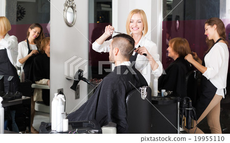 Woman hairdresser doing hairstyle Woman hairdresser doing hairstyle 19955110