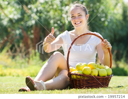 girl with apples harvest in garden 19957214