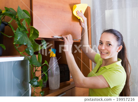 Woman wiping the dust from furniture 19957216