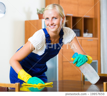 Young maid cleaning at apartment. Young maid cleaning at apartment. 19957650