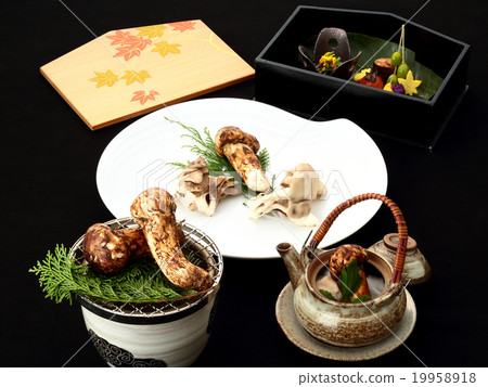 Matsutake mushroom tasting 19958918