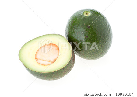 avocado green fruit isolated white background 19959194