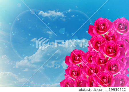 Pink rose bunch on light blue sky for background Pink rose bunch on light blue sky for background 19959512