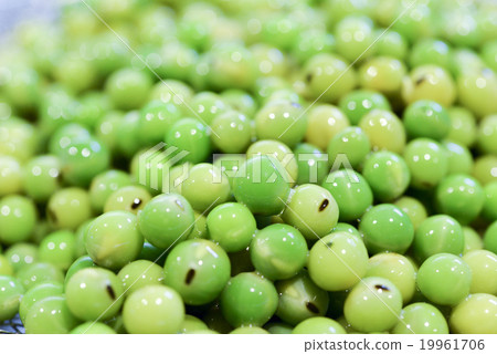 Boiled jade 19961706