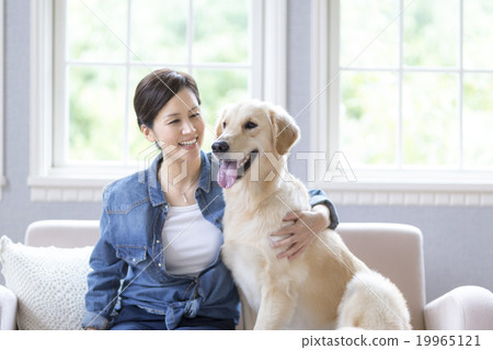 Women and dogs in their 40s sitting on the sofa 19965121