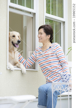 Dog and Japanese woman looking out the window 19965152