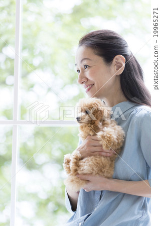 A woman holding a toy poodle A woman holding a toy poodle 19965271