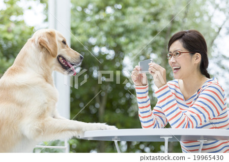 Women and dogs in their 40s taking pictures 19965430