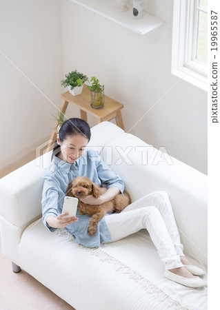 Women shooting on smartphones 19965587