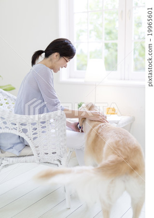 一個四十多歲的女人撫摸著一隻狗 19965601