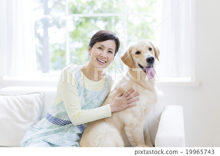 Women and dogs sitting on the sofa Women and dogs sitting on the sofa 19965743