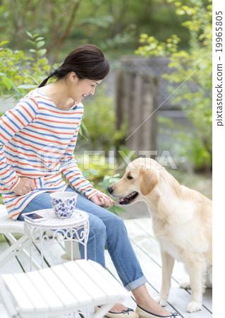 Japanese store labrador dog