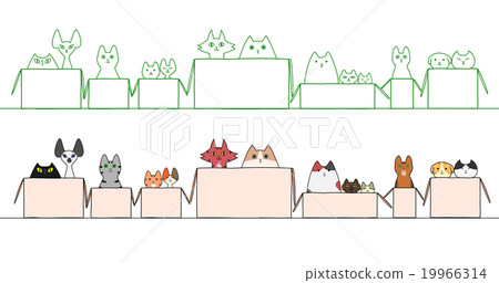 Cat Box One Row 19966314