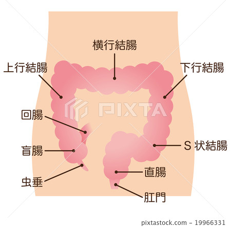 Name of colonic mechanism 19966331