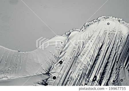monochrome texture ice monochrome texture ice 19967735
